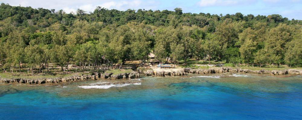 The Kiwis Place, Pangona Estate